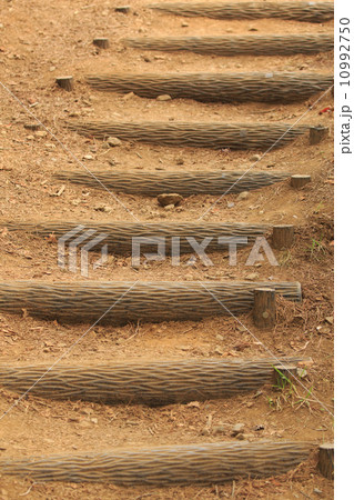 Forest walk path 10992750