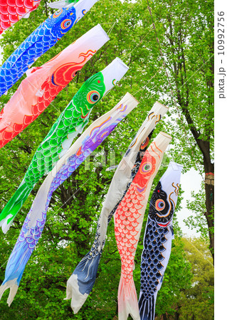 Carp flag in Japan 10992756
