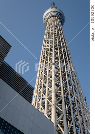 TOKYO - APRIL 15 10992800