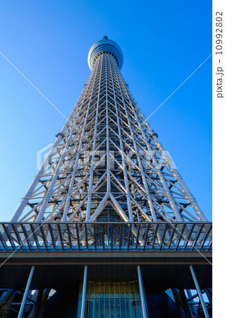 TOKYO - APRIL 15 10992802