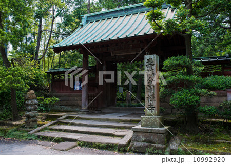 寿福寺の山門 寿福寺の山門 10992920