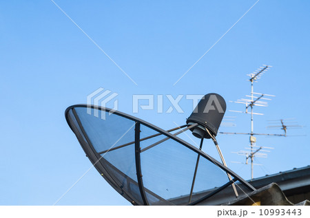 Sattelite disk and antenna Sattelite disk and antenna 10993443