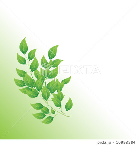 beautiful nature background 10993584