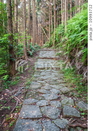 松本峠　熊野古道 10993712