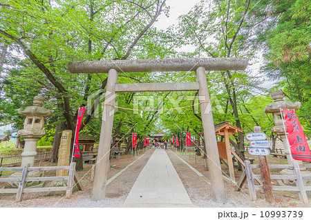 上田城跡に鎮座する真田神社の鳥居 10993739