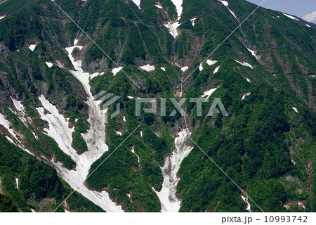 浅草岳 越後百山 浅草岳 越後百山 10993742