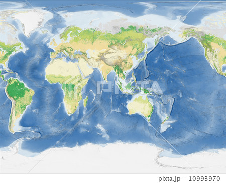 世界植生地図 10993970