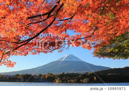 秋の富士山 10993971