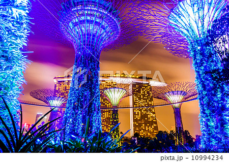 Gardens by the Bay Gardens by the Bay 10994234