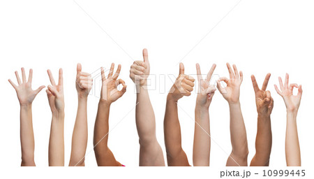 human hands showing thumbs up, ok and peace signs human hands showing thumbs up, ok and peace signs 10999445