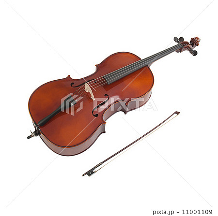 the cello 11001109