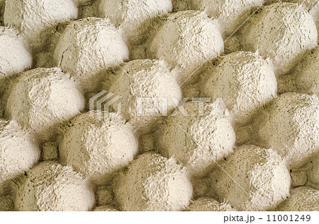 Closeup of tray egg 11001249