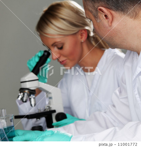 scientist in chemical lab scientist in chemical lab 11001772