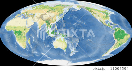 世界植生地図 世界植生地図 11002594