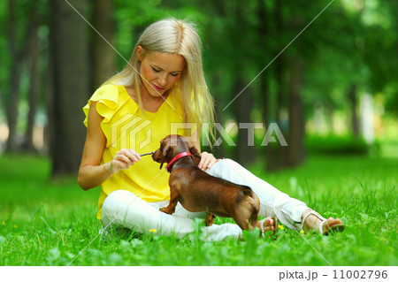 woman dachshund in her arms 11002796
