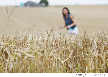 woman on wheat field 11005464