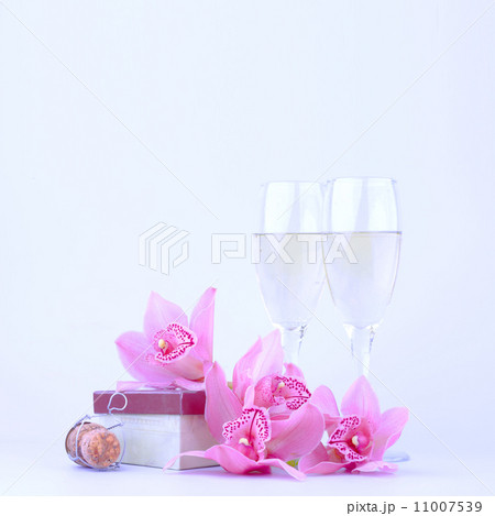 beautiful pink orchid against blue background beautiful pink orchid against blue background 11007539