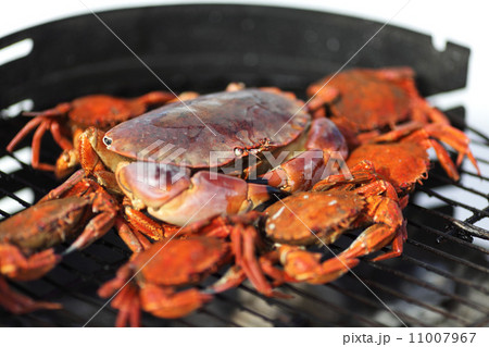 crab on charcoal grill 11007967