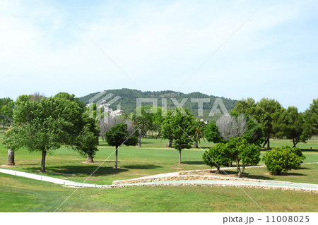 Green grass on a golf field 11008025