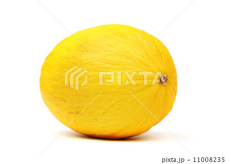 honeydew melon 11008235