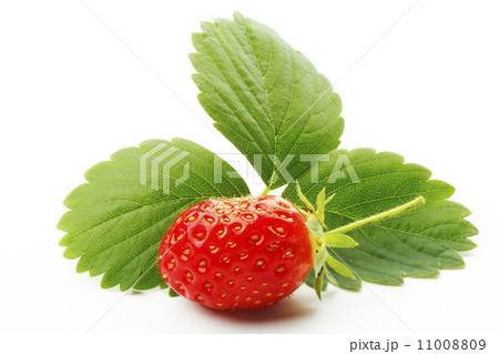 Strawberry with leaves Strawberry with leaves 11008809