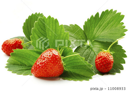 Strawberry with leaves Strawberry with leaves 11008933