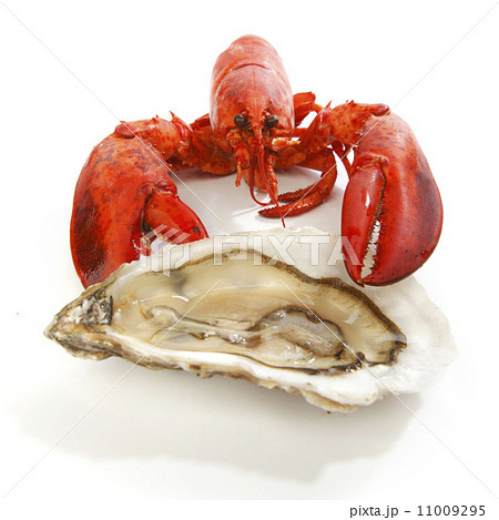 Lobster and oyster Lobster and oyster 11009295