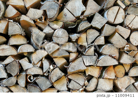 Firewood 11009411
