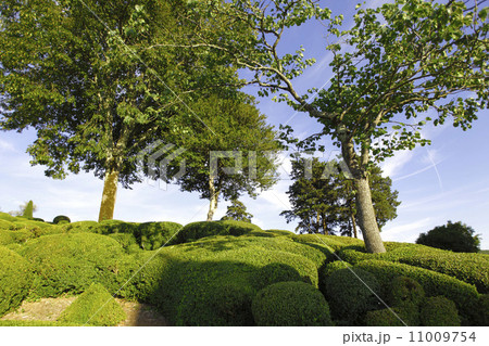 marqueyssac marqueyssac 11009754
