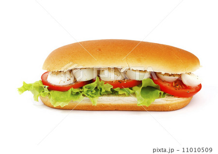 Sandwich with mozzarella tomato and salad 11010509