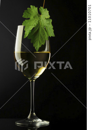 white wine and cheese on black 11010701