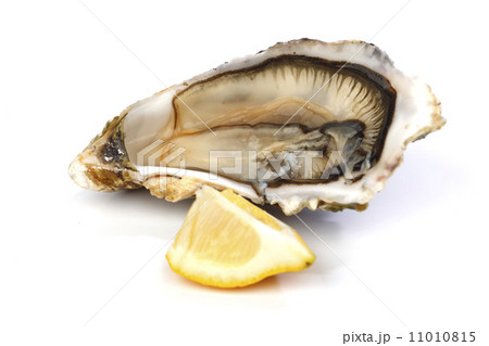 Oyster and lemon on white 11010815