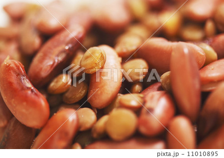 Cooked red beans and lentils 11010895