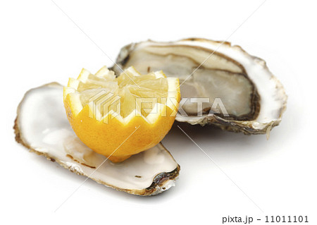 Oyster and lemon on white 11011101