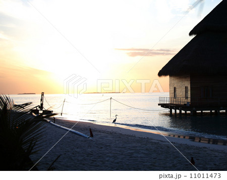 maldivian houses on sunrise 11011473