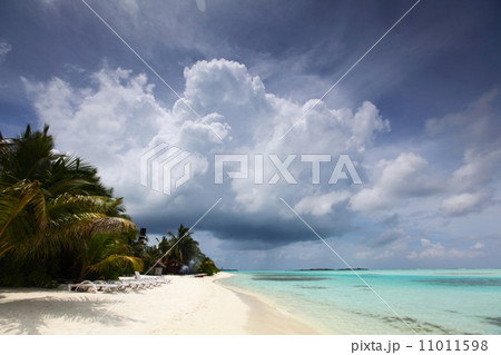 tropical island 11011598