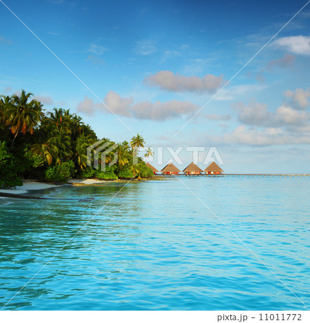 maldives landscape 11011772