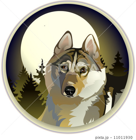 sad lone wolf sad lone wolf 11011930