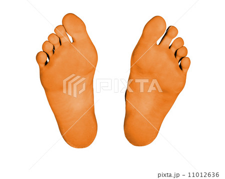 Feet isolated Feet isolated 11012636