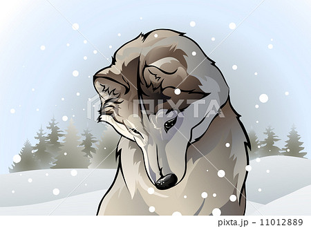 Wolf hunting in the woods Wolf hunting in the woods 11012889