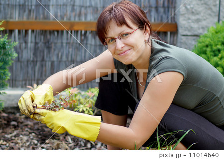 smiling middle age woman gardening in sunny day smiling middle age woman gardening in sunny day 11014640