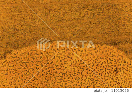 rusty iron plate background with strong grain 11015036