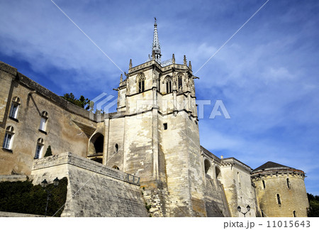 Amboise Castle. Valley of Loire, France Amboise Castle. Valley of Loire, France 11015643