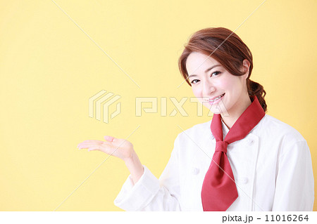 シェフイメージ　 11016264