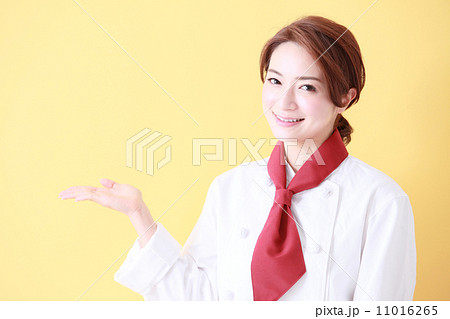 シェフイメージ　 11016265