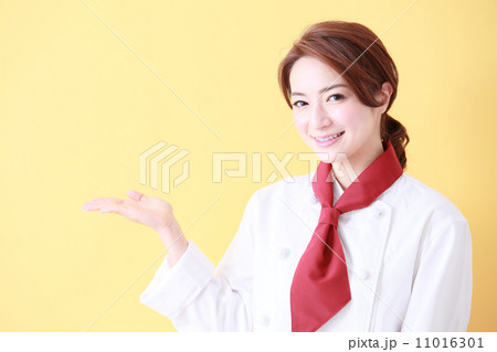 シェフイメージ　 11016301