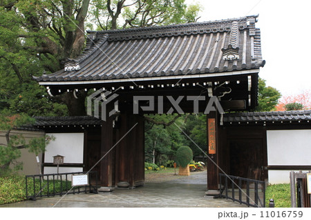 藤田邸跡公園 藤田邸跡公園 11016759