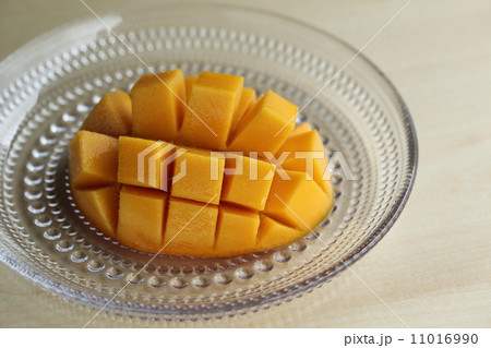 マンゴー マンゴー 11016990