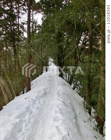 景信山までの雪道 11018503