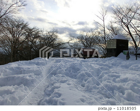 大雪の高尾山山頂 11018505